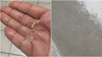 Chuva de granizo é registrada no interior do Ceará; veja vídeo