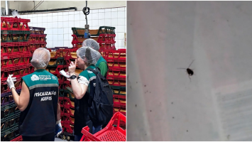 Fábrica de pães interditada por infestação de baratas volta a ser autuada após manter produção