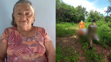 Idosa de 75 anos morre após ser atacada por enxame de abelhas no interior do Ceará