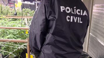 Polícia desativa laboratório de maconha e prende quatro suspeitos